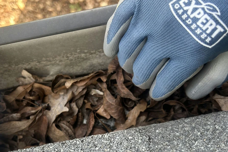 Gutter Cleaning Redington Shores FL