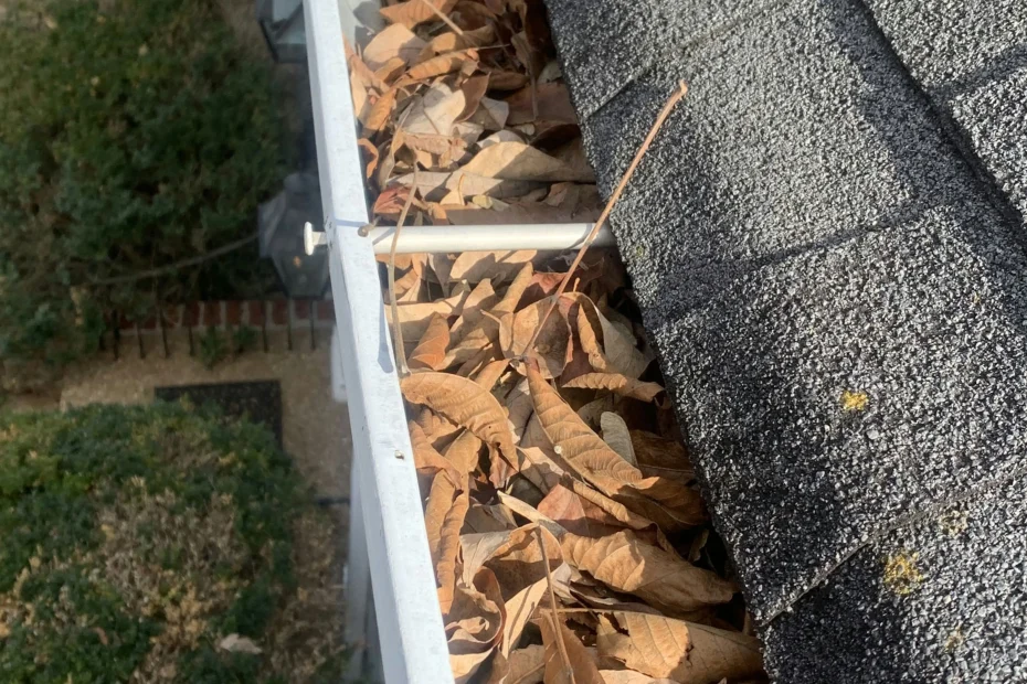 Gutter Cleaning Redington Shores FL