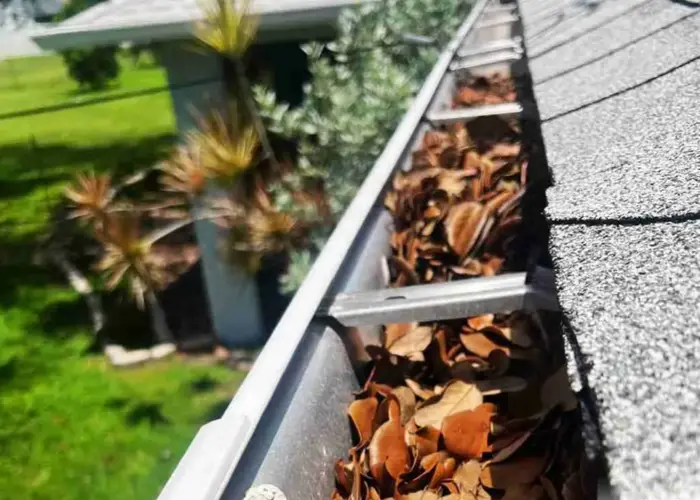 Gutter Cleaning Redington Shores FL home page